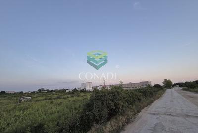 Teren  - pretabil pentru industrial - Centura -  Clinceni - 5