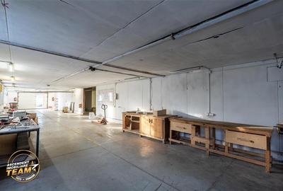 Spațiu comercial, de 1,341 mp, în Valea Crișului - 30