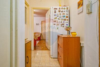 Apartament 3 camere, Florilor, Aleea Mimozei Apartament 3 camere, Florilor, Aleea Mimozei - 12