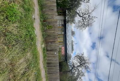 Casă cu 3 camere cu Teren 2640 Mp în Meri - 9