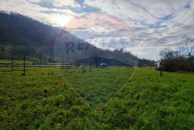 COMISION 0%  Teren intravilan de vanzare in Barsana (26 ARI) - 8