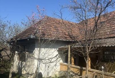 Casă cu 3 camere cu Teren 120 Mp în Băița - 5