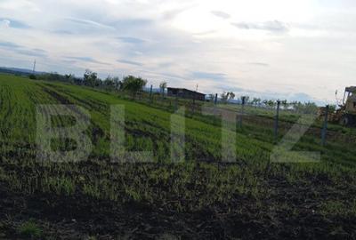 Teren intravilan cu 2 drumurie de acces. - 7