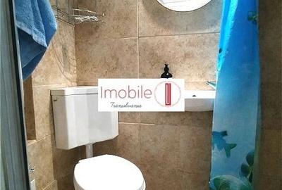 Garsonieră semidecomandată, mobilată în Hașdeu - 6