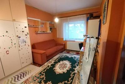 Casa cu 5 dormitoare, 170 mp utili, 500 mp teren, Podu de Fier - 24