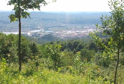 Teren livadă cu panoramă superbă Dealul Malului pentru casă sau cabană - 19
