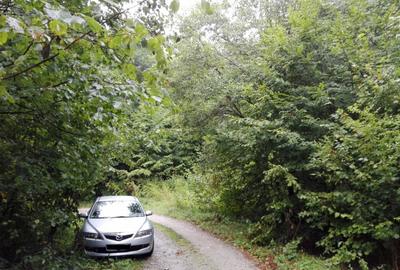 Teren Construcții intravilan de 5700 mp, în Râu de Mori - 9