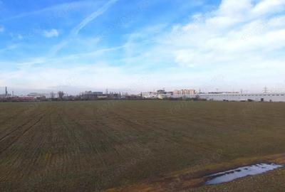 Teren de 1650 mp, în Berceni - 5