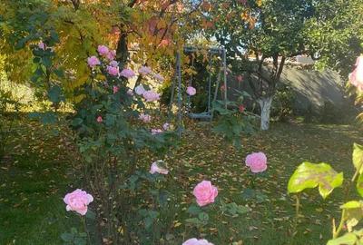 Casă cu Teren 3074 Mp în Cordun - 9