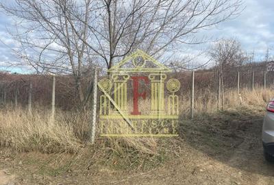 Teren Barnova  ! - 4