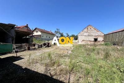 Teren Imprejmuit, 3514mp, Asfalt, Ciugud - 8