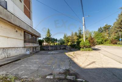 Inchiriere spatiu de depozitare 247 mp, curte 158 mp, Campul - 13