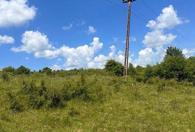 Teren de 54500 mp, în Jibert - 8