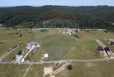 Teren agricol extravilan de 3757 mp, în Păltinoasa - 10