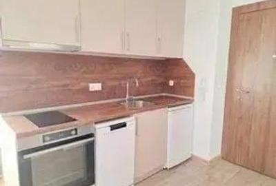 Apartament in zona Badea Cartan de inchiriat - 1