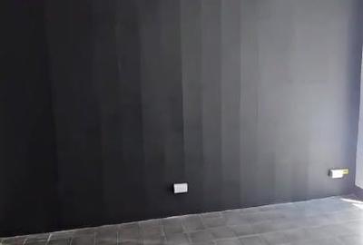 Spațiu comercial, de 22.719999313355 mp, în P-ța Romană - 3