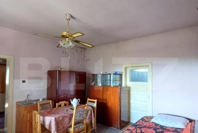 Casa renovabila cu 11508 mp teren, in Copaceni - 7