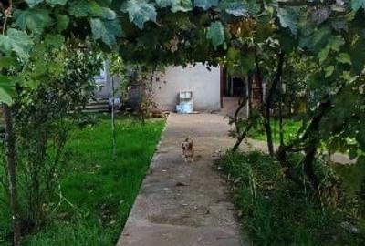 Teren vânzare zona Viile Noi - 4