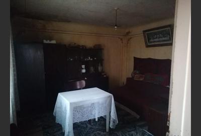 Casă cu 3 camere cu Teren 3040 Mp în Ceanu Mic - 9