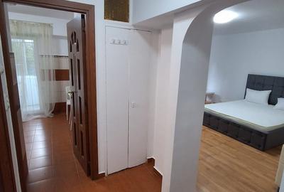Garsonieră decomandată în Muncii - 11