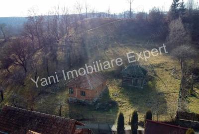 Teren de vanzare in comuna Cicane?ti, sat Cicane?ti, Jude? Arge?. - 10