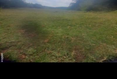 Vând teren în pădure aproape de pădurea colorată - 3