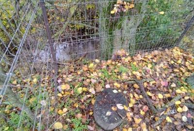 Casa individuala, teren 1000 mp, comuna Bratovoesti - 17