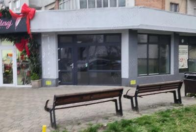 Spatiu Comercial - Stefan cel Mare - 9