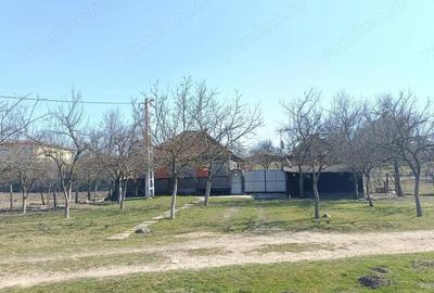 Casă cu Teren 1500 Mp în Central - 4