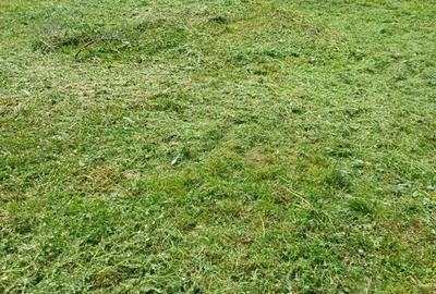 Casa 2 camere plus living - 2