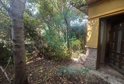 Casuta batraneasca cu teren 184 mp de inchiriat Casuta batraneasca cu teren 184 mp de inchiriat - 2