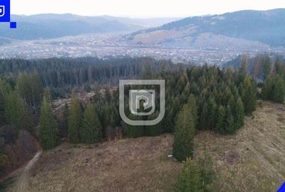 Teren situat in Frasin | BUCOVINA - 4