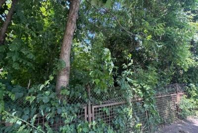 Teren constructii, 4200mp, Radauti - 5