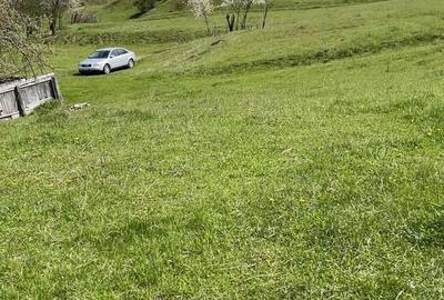 Casă cu Teren 2400 Mp în Grigorești - 4
