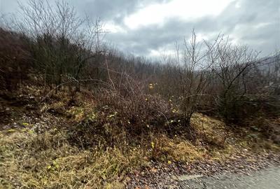 Teren intravilan 653 mp in Boldesti-Scaeni. - 5