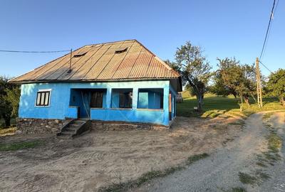 MARAMURES TEREN DE VANZARE - 1