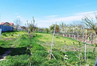 Casă cu 3 camere cu Canalizare în Macea - 10
