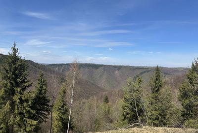 Spațiu comercial, în Mărișel - 3