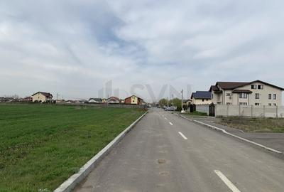 Teren Cornetu-Magurele - 24581 mp - Strada Magnoliei - Ac... Teren Cornetu-Magurele - 24581 mp - Strada Magnoliei - Ac... - 4