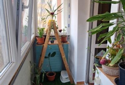 3 Camere | Mobilat | Doamna Ghica | Centrala Proprie - 19