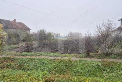 Teren intravilan de vanzare, 27.958 mp, zona Vetis - 2