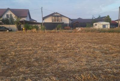 Spațiu comercial, în Adunații-Copăceni - 4