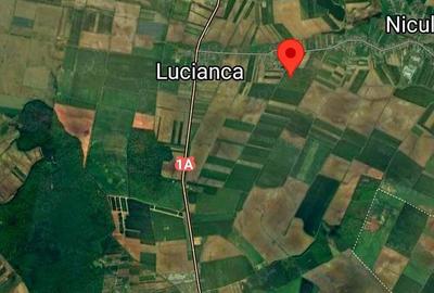 Vanzare 2500 mp, sau 5000 mp, sau 7500 mp teren in Butimanu cu 2,5 Euro mp in apropierea Bucuresti - 9