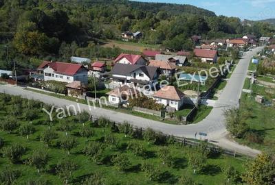 Proprietate cu doua case de vanzare in Curtea de Arge?, zona Noapte?. - 3