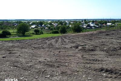 Teren de 7000 mp, în Central - 4