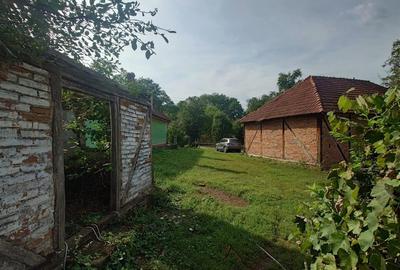 Teren intravilan cu potential, casa si anexe in Lunca - 6