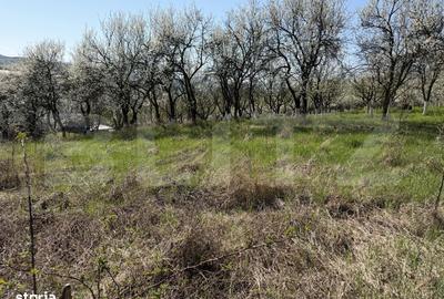 Spațiu comercial, în Crișeni - 2