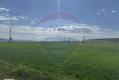 Spațiu comercial, în Fundătura - 11