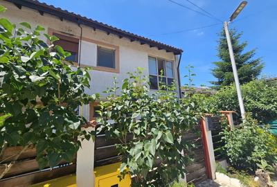 Duplex cu 3 camere cu Canalizare în Berceni - 14