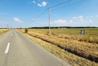 Teren de 501 mp, în Șag - 1